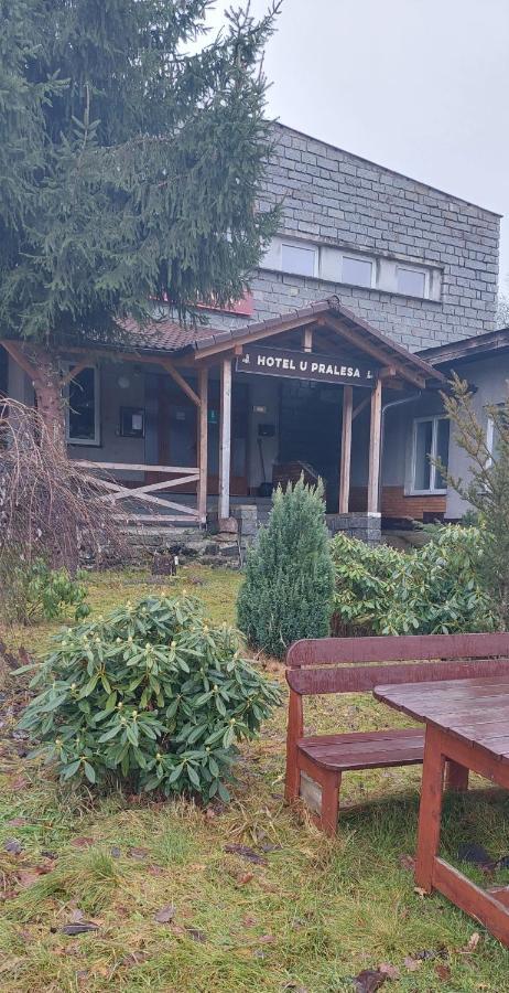 Apartman Novohradky 22 Benesov nad Cernou 外观 照片