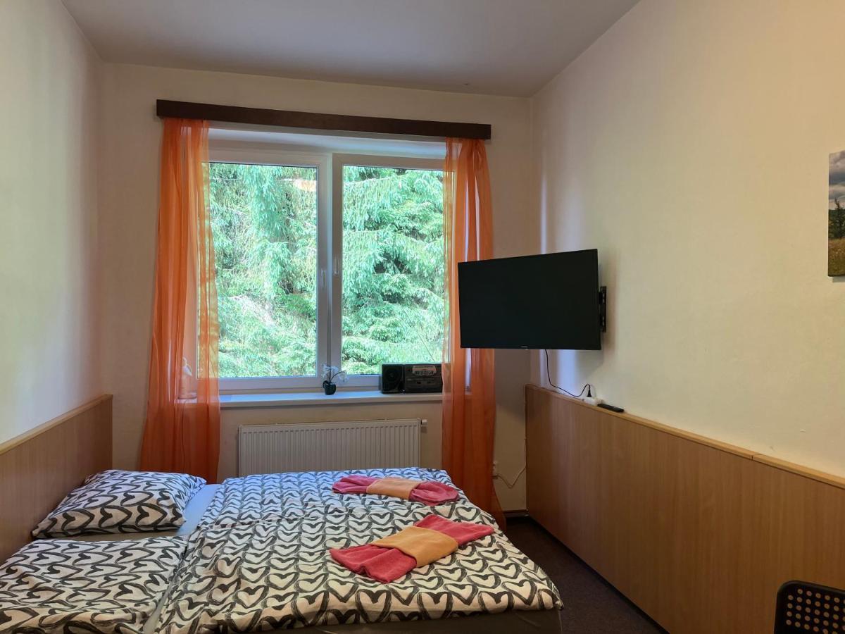 Apartman Novohradky 22 Benesov nad Cernou 外观 照片