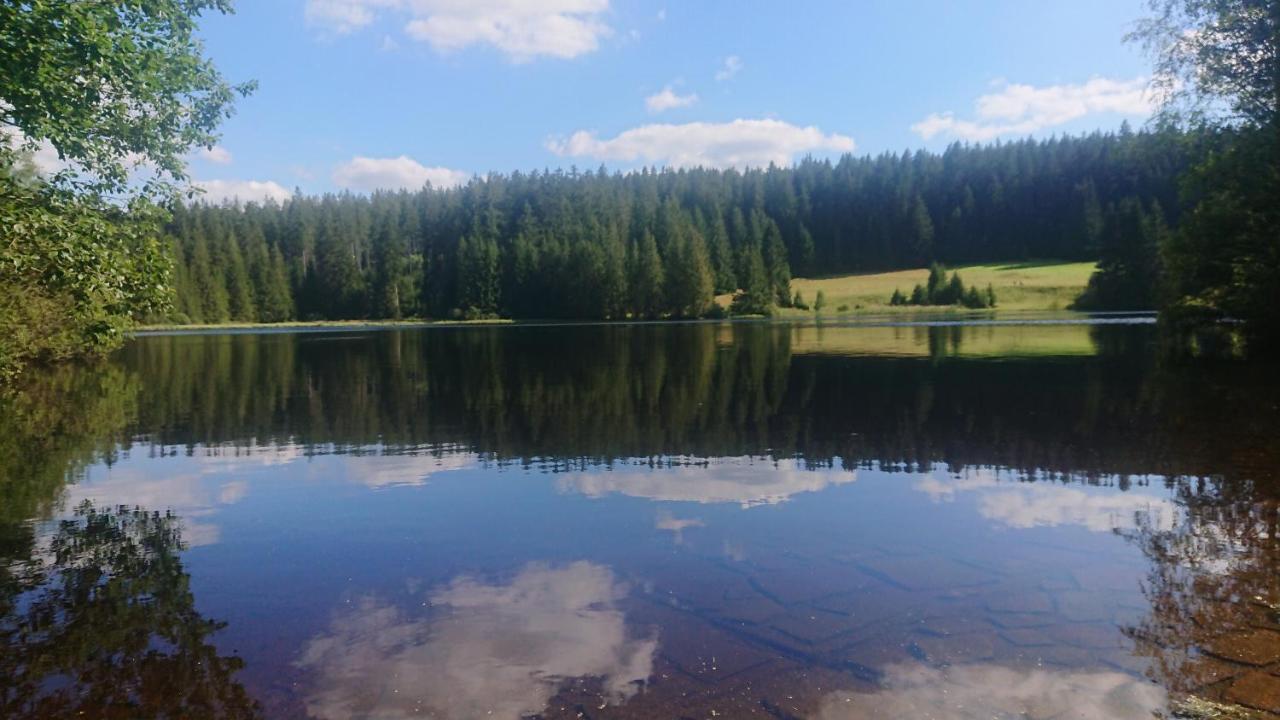 Apartman Novohradky 22 Benesov nad Cernou 外观 照片