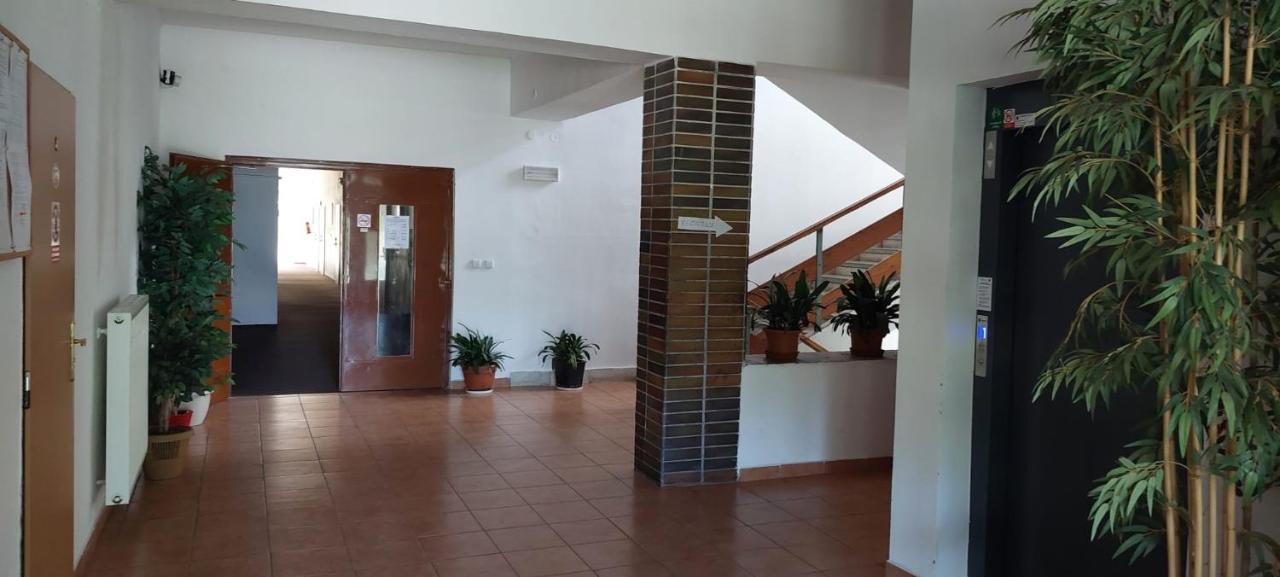 Apartman Novohradky 22 Benesov nad Cernou 外观 照片