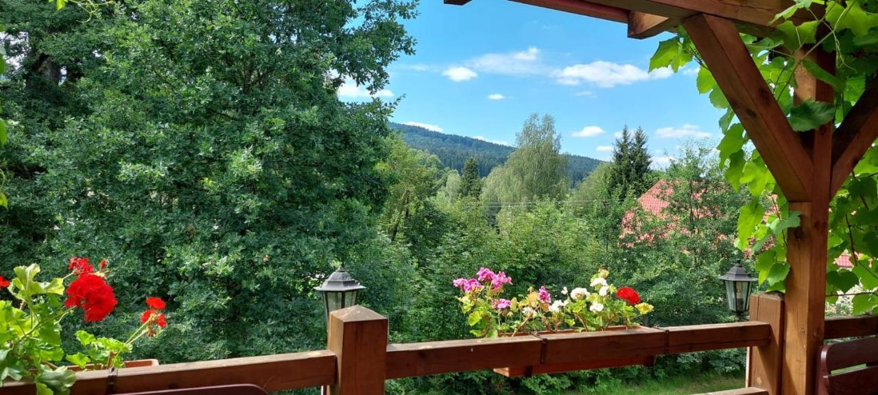 Apartman Novohradky 22 Benesov nad Cernou 外观 照片